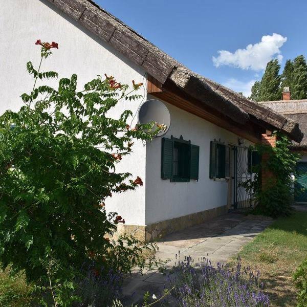 Boroka Tanya Villa Orgovany Exterior photo